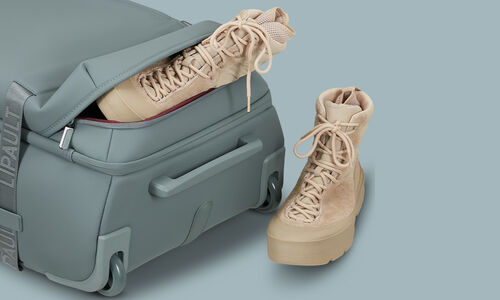 Poche chaussures