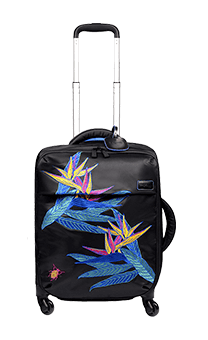 Lipault Special Ed. Trolley mit 4 Rollen 55cm